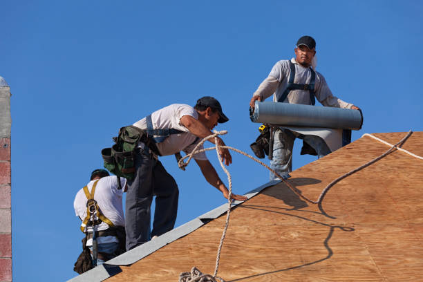 Best Flat Roof Repair Services  in Edna, TX